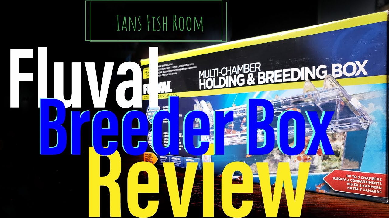 Large Fluval Breeder Box Unboxing and Review YouTube