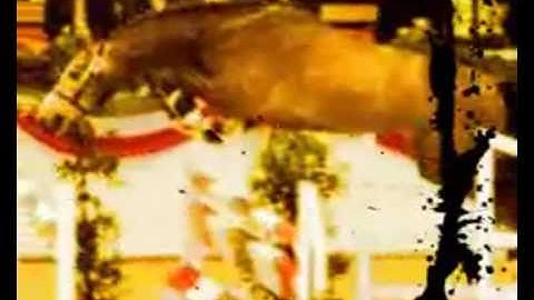 MY NEW INTRO-plz be nice i havn