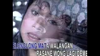 GULANG GULING | EEN CLAFINOVA