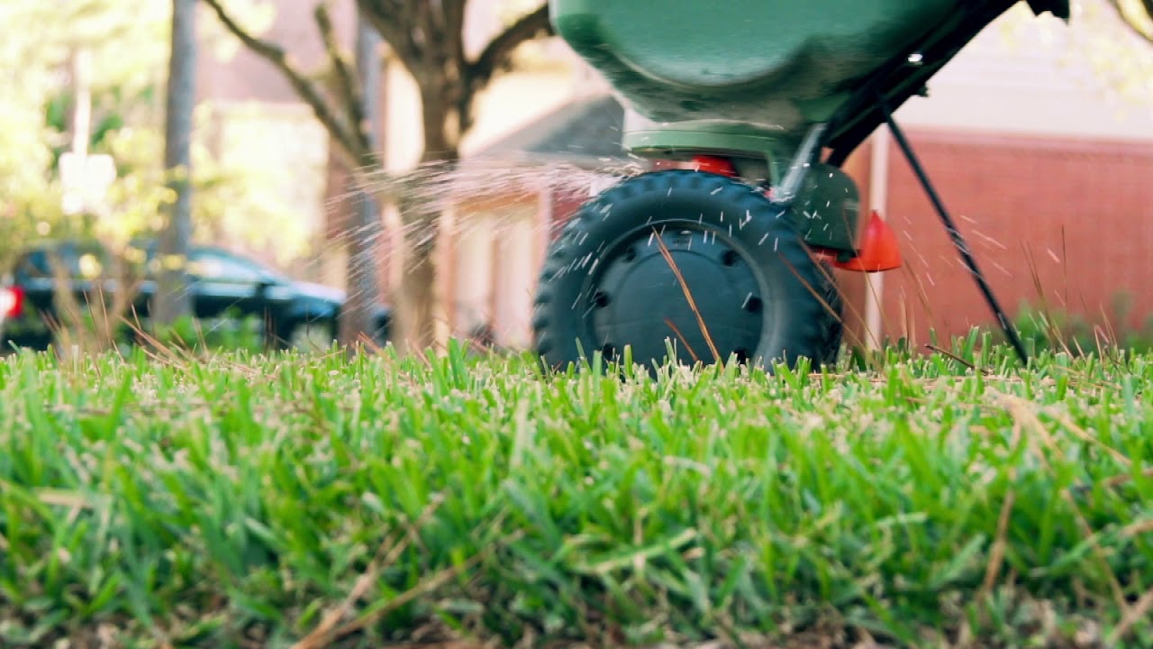 Learn from students at Orchard View Elementary