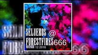 Seluekos - @ Forestfires 666 (compilation)