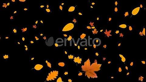 Autumn Leaves Overlays | Motion Graphics - Envato elements
