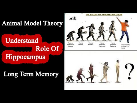 Animal Models Of Memory And Learning Research Cognitive Psychology M.A Psychology