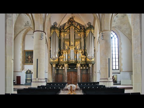 Improvisatie psalm 90 - Vincent de Ridder