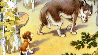 Казка українською  / Кус, що не любив кусатися / Аудіоказка на ніч