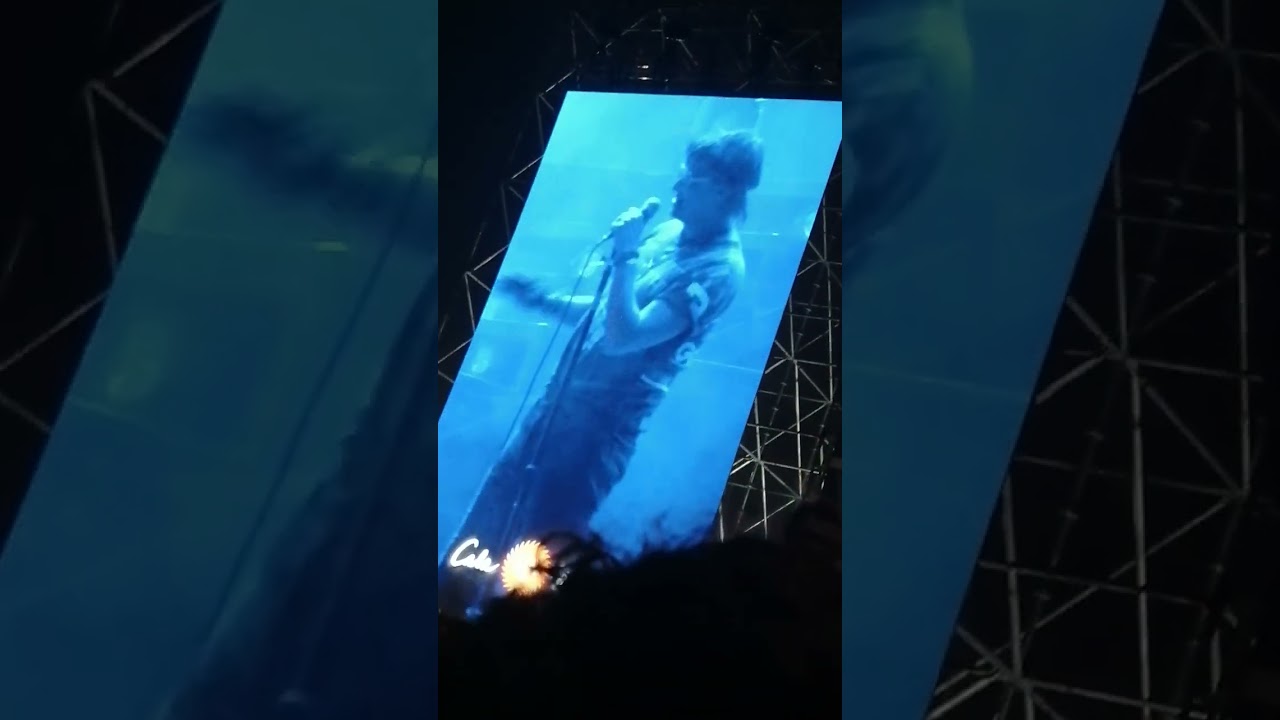 The Strokes - Reptilia Live @ Cala Mijas 2023