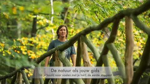 De natuur als jouw gids, de eerste stappen