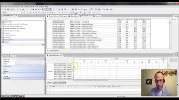 Learn Quantrix Modeler: Category Descriptor Show in Filter Tray Episode #0035
