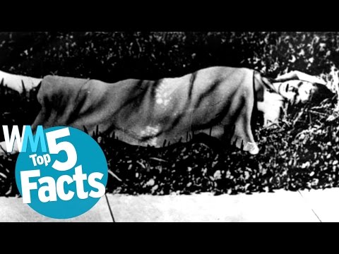 Top 5 Black Dahlia Murder Facts