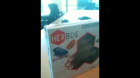HexBugs @ Blockdot Part 2