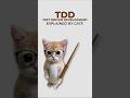 TDD, explained by cats. #cat #development #testing #software #coding