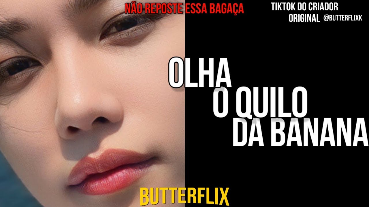 [LIGAÇÃO STRAY KIDS] DIA DE LIMPEZA | BUTTERFLIX