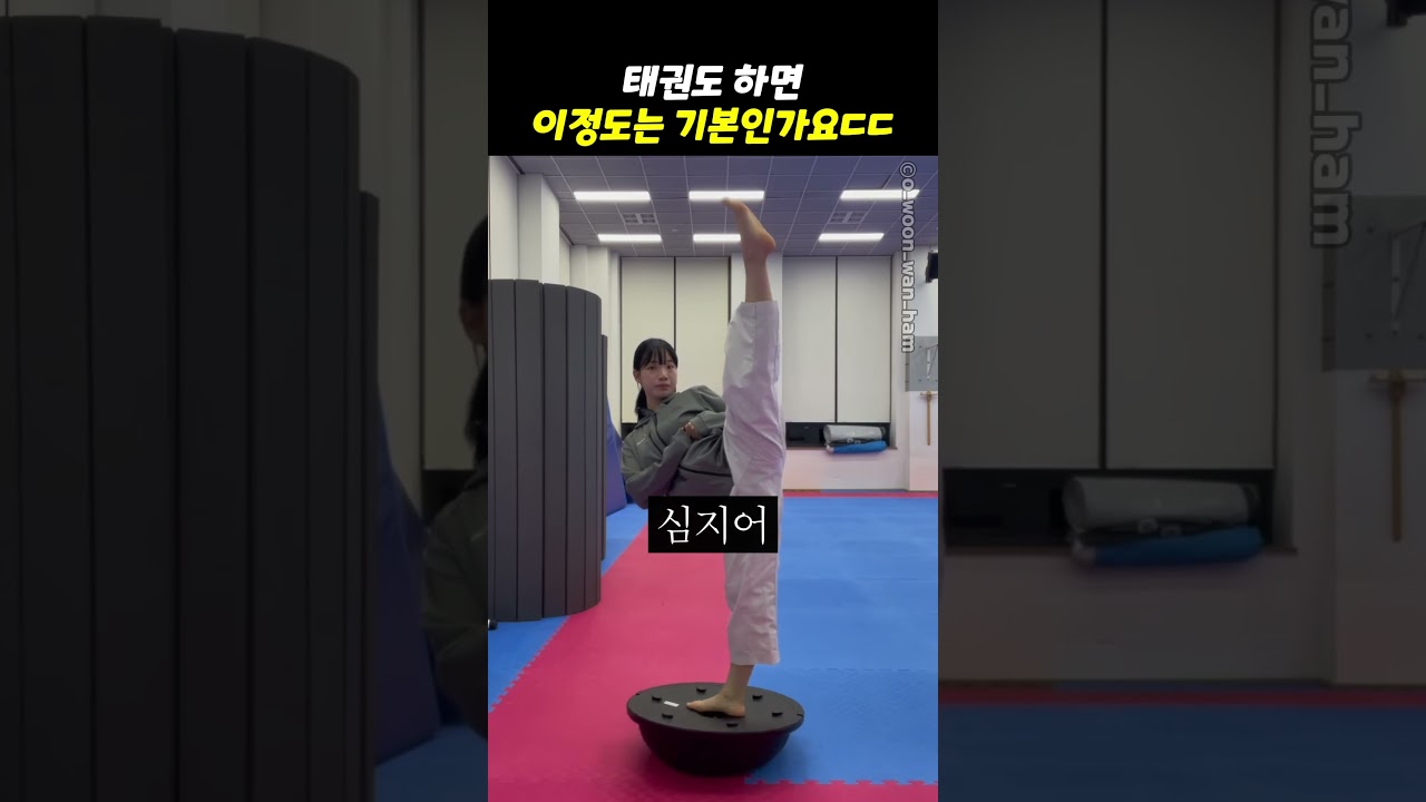 태권도 하면 이 정도는 기본인가요ㄷㄷ