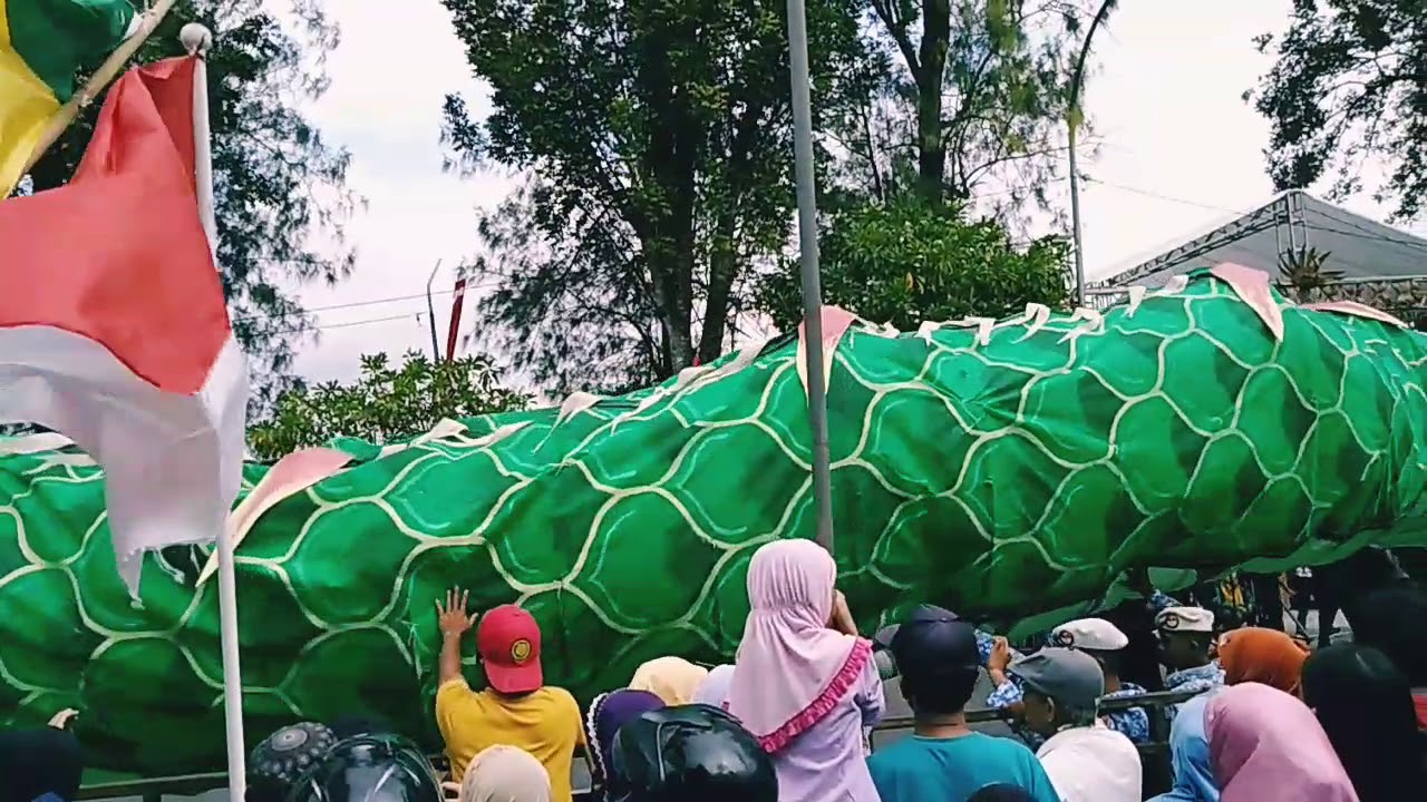 NAGA HIJAU RAKSAKSA SEPANJANG 250 METER HEBOHKAN ALUN-ALUN WATES