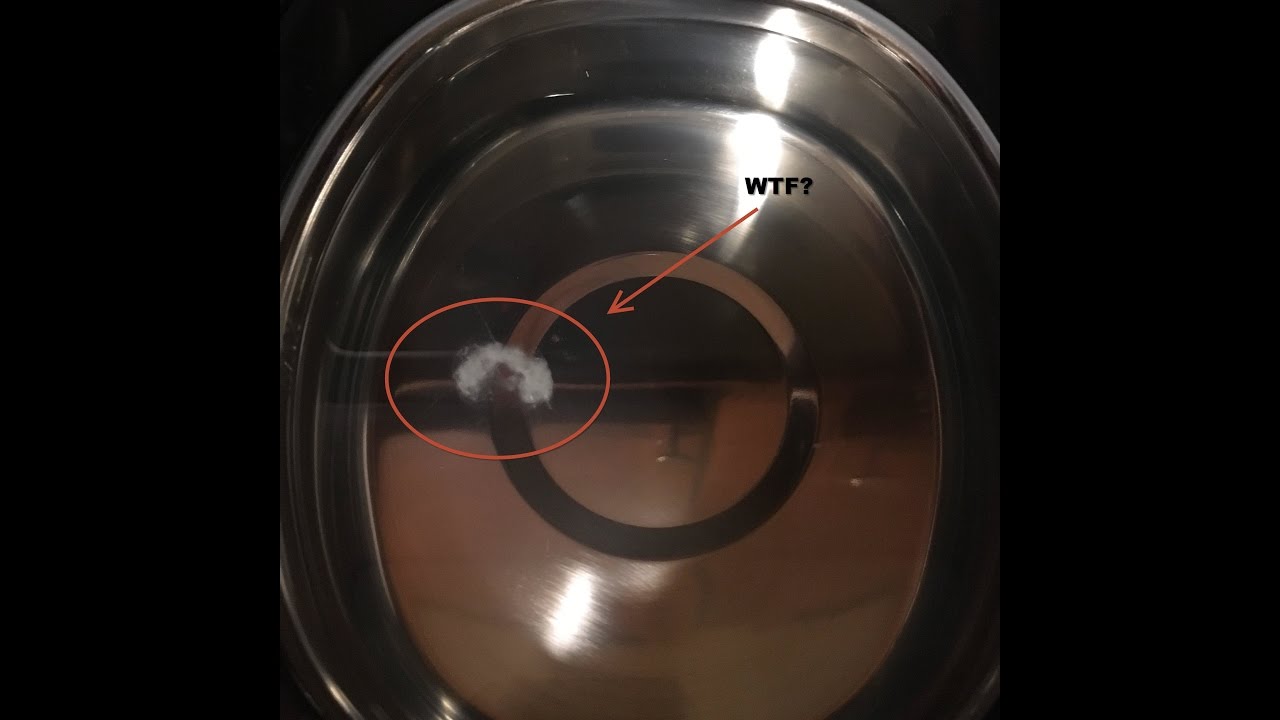 Product Review New Trent CD7810A Professional Ultrasonic Watch Jewelry and Eyeglass Cleaner