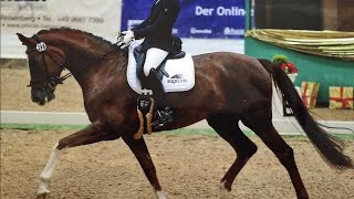 6 Yo Mare By Sir Donnerhall, Winner In Cl M