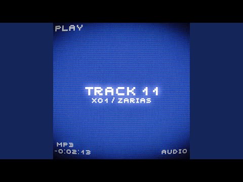 TRACK 11
