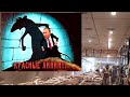 Москва в потерях: дикий Ор Путина над златом, Птички из США и доля Азербайджана