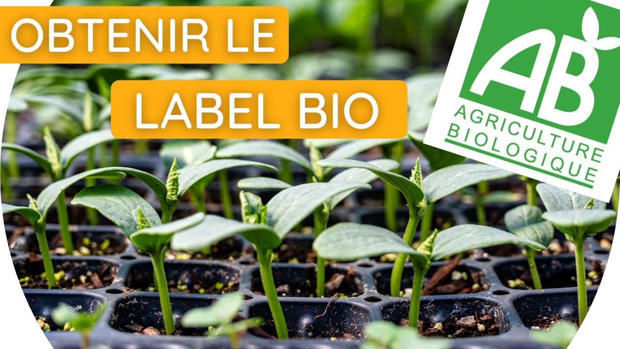 Comment être labellisé bio ? Retour d'expérience depuis ma pépinière
