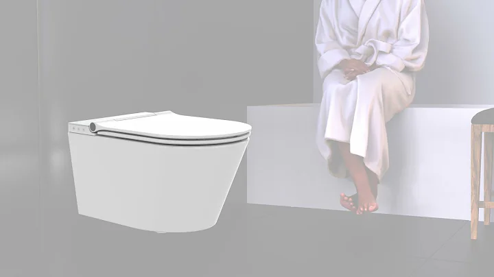 SCHTTE CESARI WC LAVANT - lhygine intime repense (...