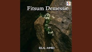 Fitsum Demessie
