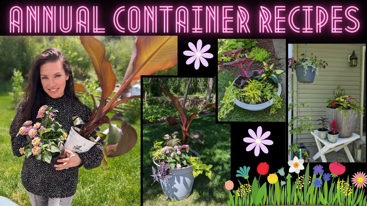 Annual Container Recipes for Sun and Shade | My White Fringetree is ...