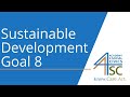 Understanding Sustainable Development Goal 8