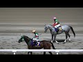 【スパーキングレディーカップ2026】本馬場入場 現地映像 タガノミスト