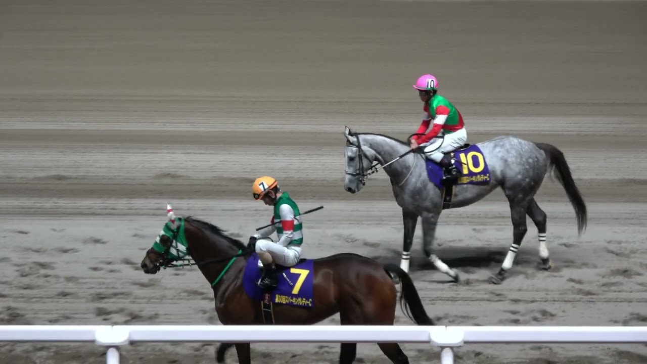 【スパーキングレディーカップ2026】本馬場入場 現地映像 タガノミスト