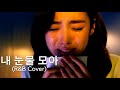 서지원 Seo Ji Won 내 눈물 모아 With All My Tears R B Cover 풀버전 