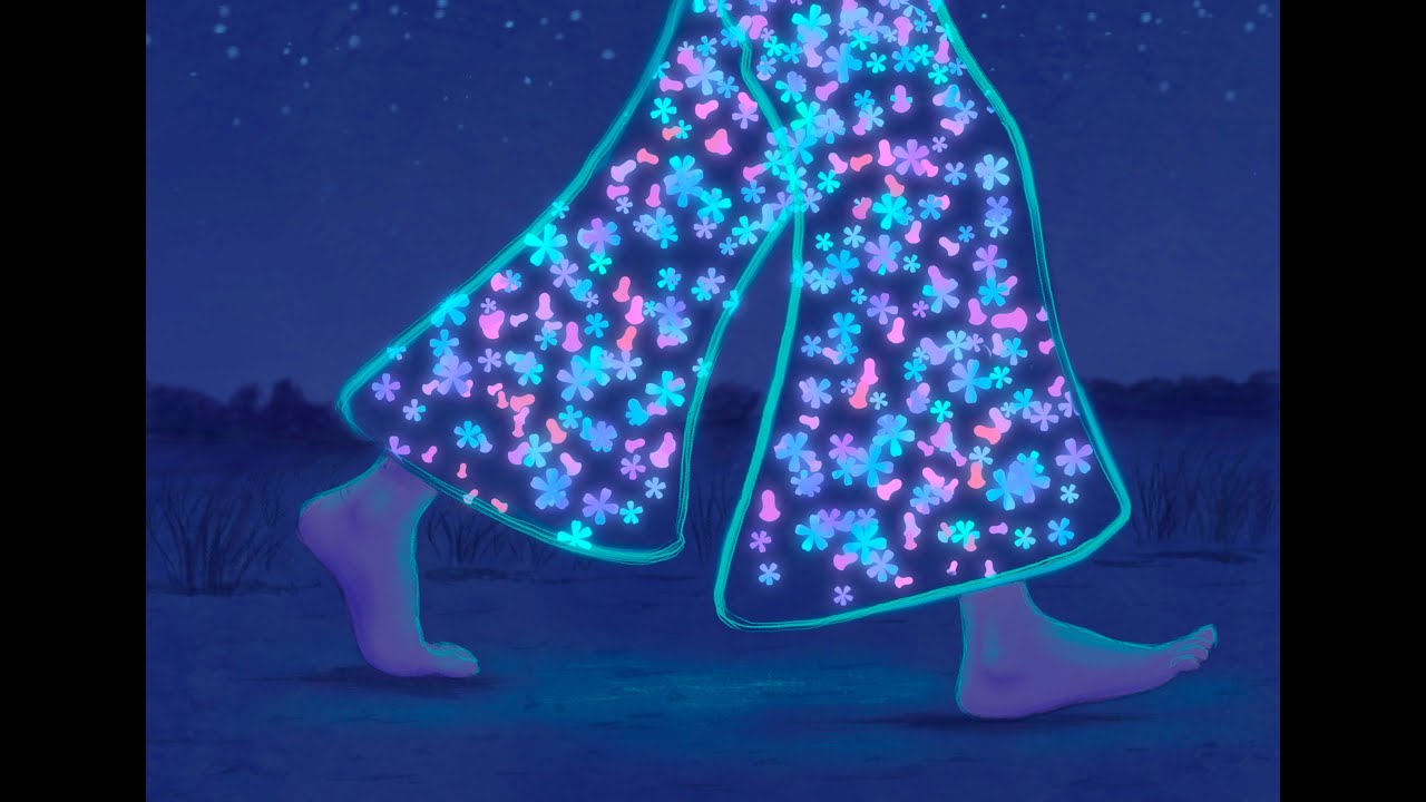 Explication du dessin