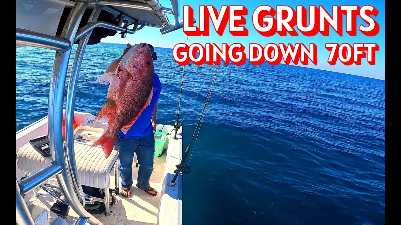 Fishing 20 Miles out for RED SNAPPER on 17 Bay Boat (FWC at the Ramp)