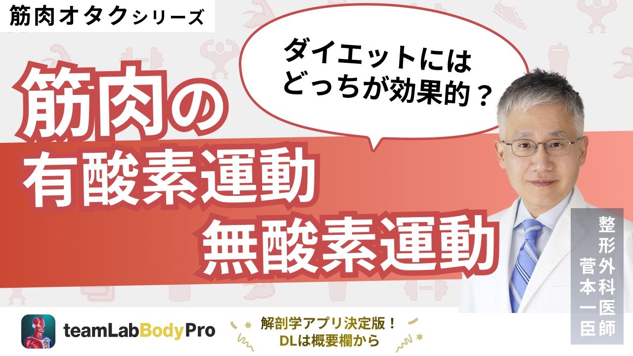 【筋肉の有酸素運動 無酸素運動】それぞれの機能と特徴を解説します！