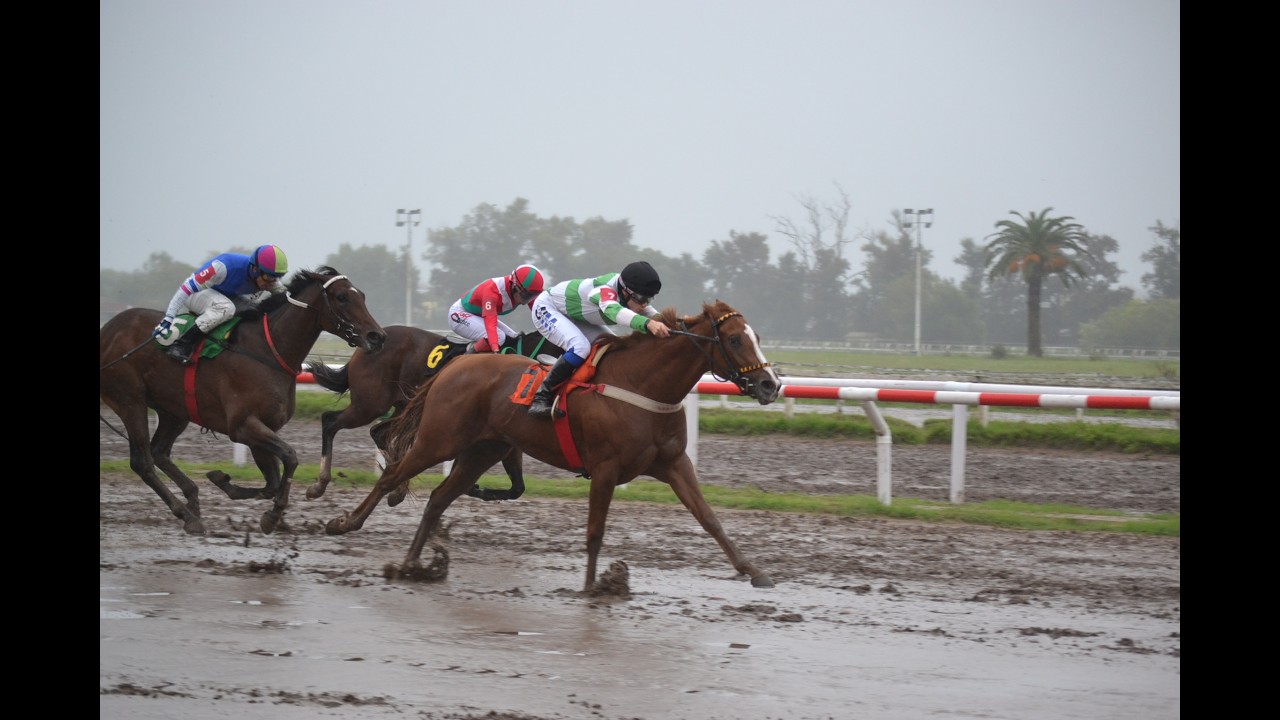 Clásico Fortunato Damiani (G3) 2026 - Candy Unica (Señor Candy)