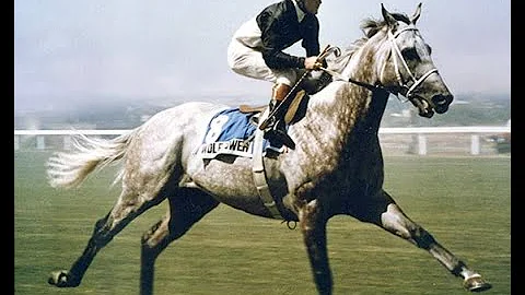 Wolf Power and Jeff Lloyd (The Guv)