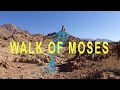 The Walk of Moses - Rephidim Revisited