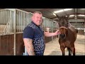 Stable Visits - Dunne Stable