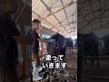 【牛の病気】皮膚糸状菌症
