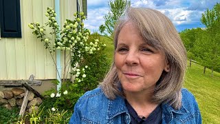 Snowball Viburnum This Shrub has a Good Story
