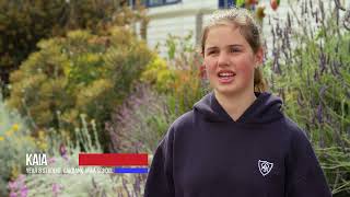 Why Learn languages at Open Access College?