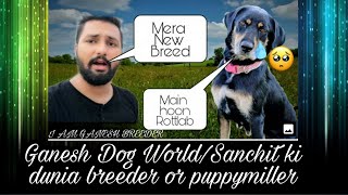 Breed With Rottweiler And Labrador Kya Yeh Hai Pet Lovers Ft Ganesh Dog World Ki Dunia || Scoobers