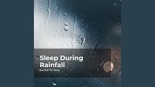 Catnap in Pelting Rain