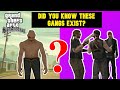 GTA San Andreas Had These Gangs All Gangs Breakdown