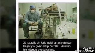 Tuhaf Ama Gerçek 12 Ilginç Fotograf