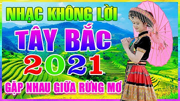 Gặp Nhau Giữa Rừng Mơ - Nhạc Sống Tây Bắc Không Lời 202 | Nhạc Test Loa Đám Cưới Vùng Cao Tây Bắc