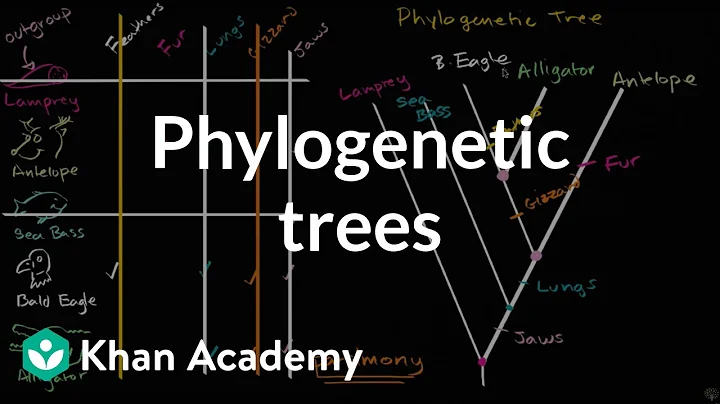 Understanding and building phylogenetic trees | High school biology | Khan Academy