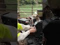 湖畔でコーヒー☕️|DJI Power 2000があるアウトドア時間