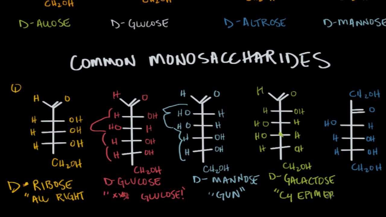 carbohydrates epimers common names youtube common carbohydrates