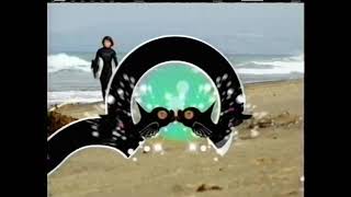 Nick | Skimboarder "Sam" | Television Commercial Bumpers | 2005 [Short and Rare!!!]