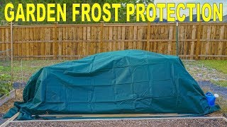 Garden Frost Protection  Does Frost Cloth Work? Results After Freeze